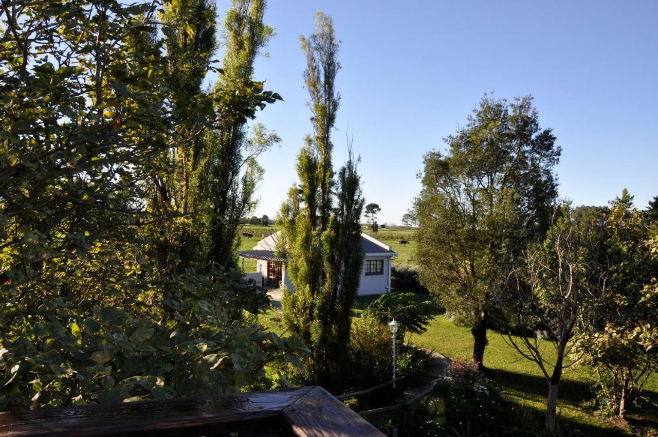 Tsitsikamma Gardens Cottages Self-Catering Cottages Sanddrif Экстерьер фото